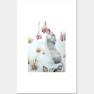 Cute gray wood mouse eating berries in snow Posters and Art